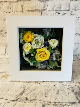 プティアメリに投稿された画像（2022/6/29）