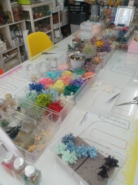 ずこうしつ〜sugamo〜に投稿された画像（2022/6/29）