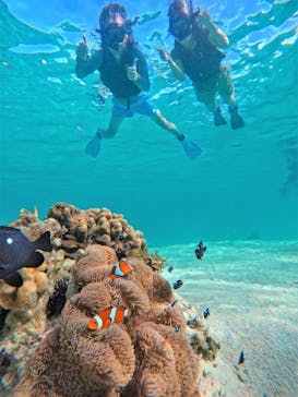 宮古島 ADVENTURE PiPi（ミヤコジマ アドベンチャー ピピ）に投稿された画像（2022/6/29）