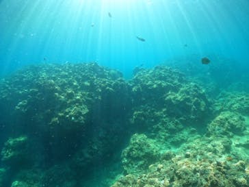 武藤潜水に投稿された画像（2022/6/29）