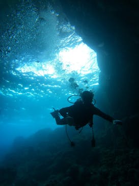 沖縄ダイビング ピンクマーメイドに投稿された画像（2022/6/29）