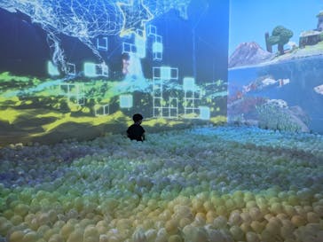 リトルプラネット ダイバーシティ東京 プラザに投稿された画像（2022/6/29）