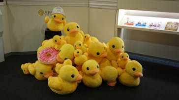 横浜天然温泉 SPA EASに投稿された画像（2022/6/29）