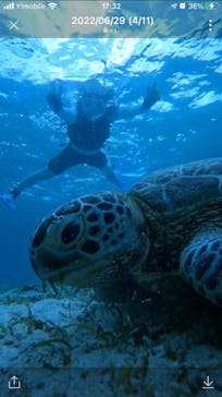 宮古島 ADVENTURE PiPi（ミヤコジマ アドベンチャー ピピ）に投稿された画像（2022/6/29）