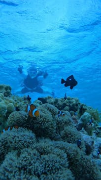 宮古島 ADVENTURE PiPi（ミヤコジマ アドベンチャー ピピ）に投稿された画像（2022/6/29）