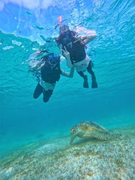 宮古島 ADVENTURE PiPi（ミヤコジマ アドベンチャー ピピ）に投稿された画像（2022/6/28）