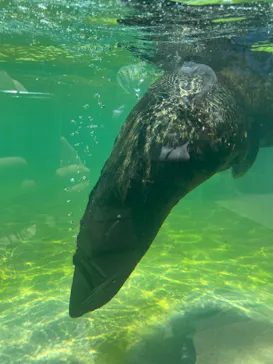 神戸どうぶつ王国に投稿された画像（2022/6/29）