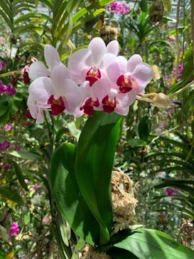 チームラボプラネッツ TOKYO DMMに投稿された画像（2022/6/29）