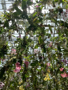 チームラボプラネッツ TOKYO DMMに投稿された画像（2022/6/30）