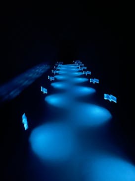 チームラボプラネッツ TOKYO DMMに投稿された画像（2022/6/30）