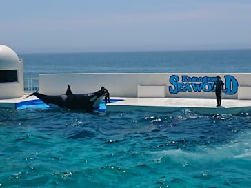 鴨川シーワールドに投稿された画像（2022/6/30）