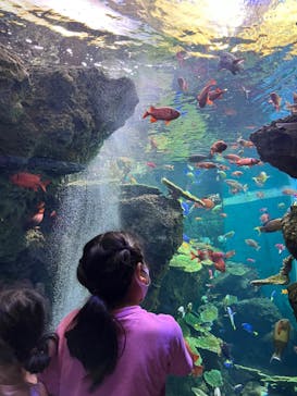 鴨川シーワールドに投稿された画像（2022/6/30）