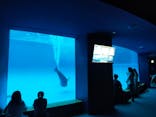 アクアワールド茨城県大洗水族館に投稿された画像（2022/6/30）