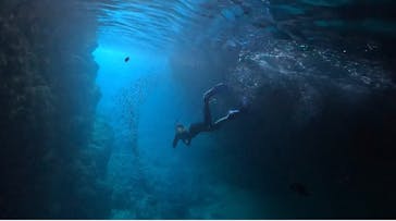 DIVING-SHOP SUNSに投稿された画像（2022/6/30）