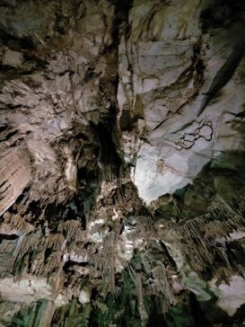 あぶくま洞に投稿された画像（2022/6/30）