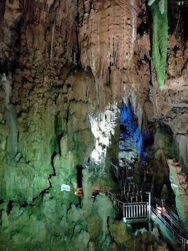 あぶくま洞に投稿された画像（2022/6/30）