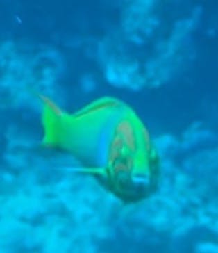 カイザーマリンクラブに投稿された画像（2022/6/30）