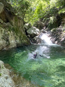 自然派企画に投稿された画像（2022/6/30）