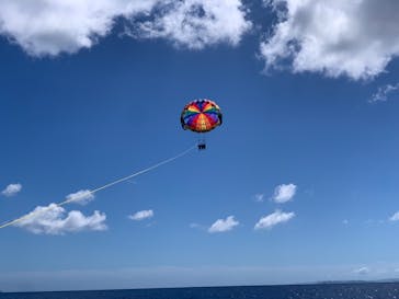 Sea World（シーワールド）に投稿された画像（2022/6/30）