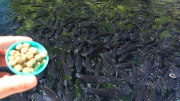 熱川バナナワニ園に投稿された画像（2022/6/30）