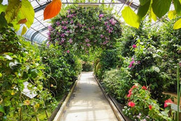 熱川バナナワニ園に投稿された画像（2022/6/30）