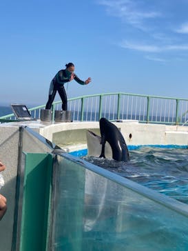 鴨川シーワールドに投稿された画像（2022/6/30）