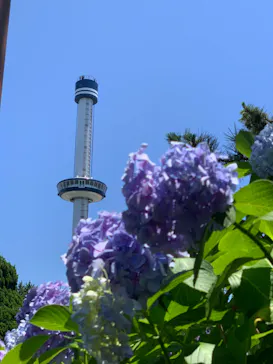横浜・八景島シーパラダイスに投稿された画像（2022/6/30）