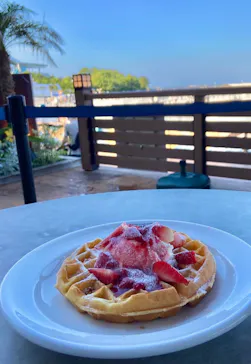横浜・八景島シーパラダイスに投稿された画像（2022/6/30）