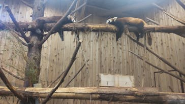 伊豆シャボテン動物公園に投稿された画像（2022/6/30）