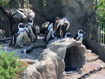 サンシャイン水族館に投稿された画像（2022/7/1）