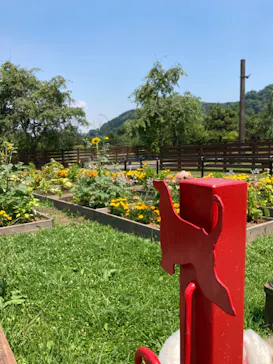 わんダフルネイチャーヴィレッジに投稿された画像（2022/7/1）