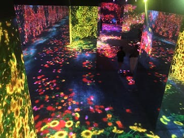 チームラボプラネッツ TOKYO DMMに投稿された画像（2022/7/1）