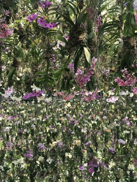 チームラボプラネッツ TOKYO DMMに投稿された画像（2022/7/1）