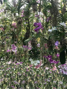 チームラボプラネッツ TOKYO DMMに投稿された画像（2022/7/1）