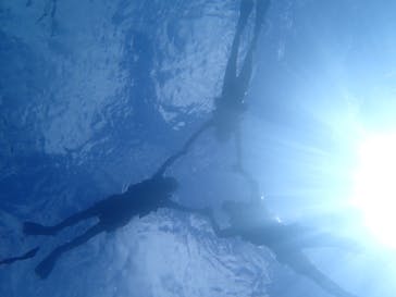 石垣島 ADVENTURE PiPi（イシガキジマアドベンチャーピピ）に投稿された画像（2022/7/1）