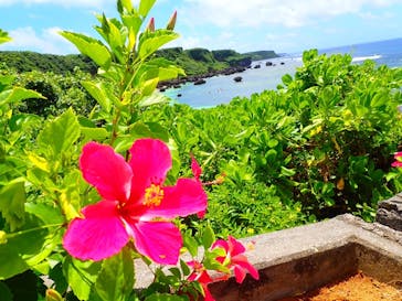 宮古島 ADVENTURE PiPi（ミヤコジマ アドベンチャー ピピ）に投稿された画像（2022/7/1）