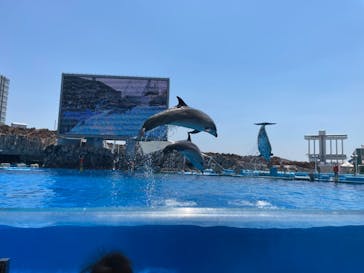 名古屋港水族館に投稿された画像（2022/7/1）