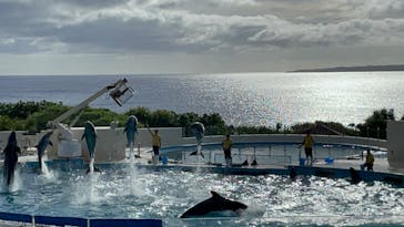 沖縄美ら海水族館に投稿された画像（2022/7/1）