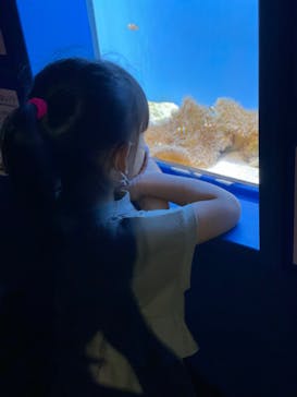 沖縄美ら海水族館に投稿された画像（2022/7/1）