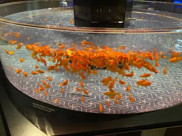 すみだ水族館に投稿された画像（2022/7/1）