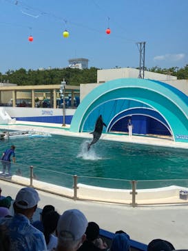 鴨川シーワールドに投稿された画像（2022/7/1）