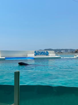 鴨川シーワールドに投稿された画像（2022/7/1）