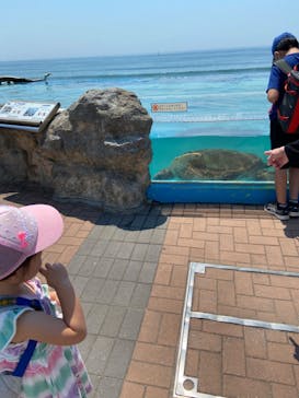 鴨川シーワールドに投稿された画像（2022/7/1）
