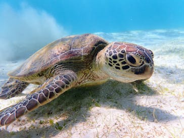 ちゃこたびに投稿された画像（2022/7/1）