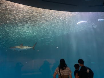 名古屋港水族館に投稿された画像（2022/7/2）