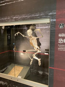 国立科学博物館に投稿された画像（2022/7/2）