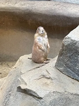 神戸どうぶつ王国に投稿された画像（2022/7/2）