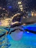 すみだ水族館に投稿された画像（2022/7/2）