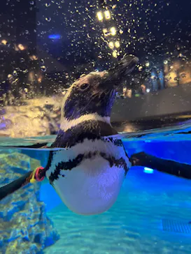 すみだ水族館に投稿された画像（2022/7/2）