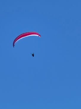 びわ湖バレイに投稿された画像（2022/7/2）